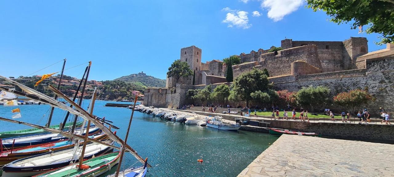Le Micocoulier * Montesquieu (Pyrenees-Orientales)
